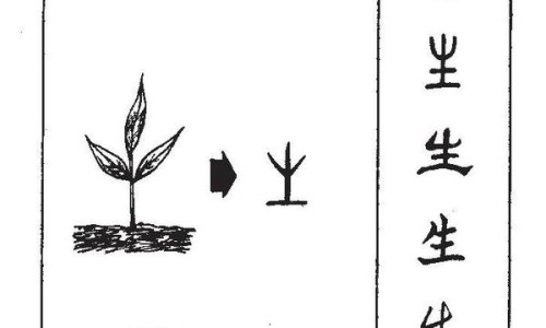 嫩白蒿的吃法大全-【白蒿的10种家常做法】白蒿野菜 - 嫩白蒿的吃法网