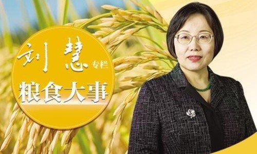 嫩白蒿的吃法和做法-【白蒿的10种家常做法】白蒿野菜 - 嫩白蒿的吃法网
